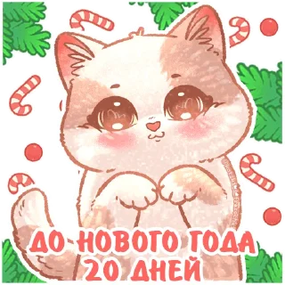 2⃣
