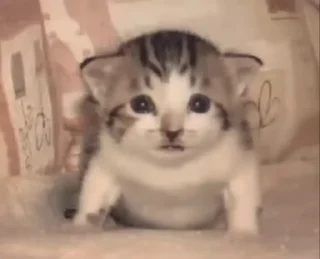 😳