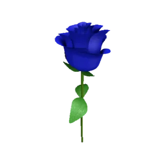 🌹