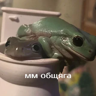 🤢
