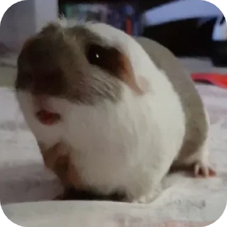 👍