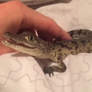 🥰