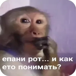 🤩