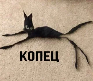 😭