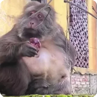 😮