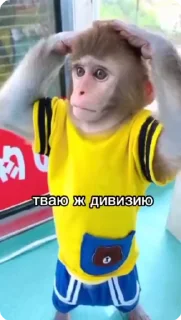 🤭