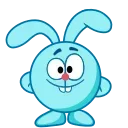 🐰