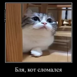 🙃