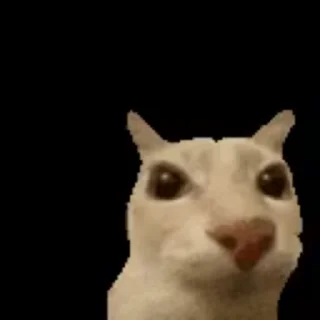 🙀