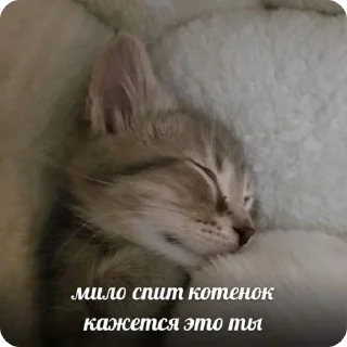 🥰