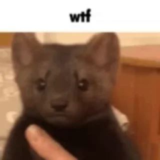 😳