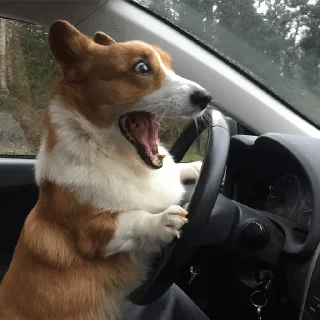 😮