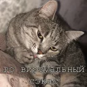 🔗