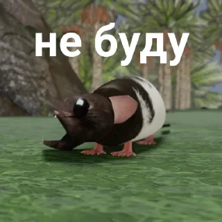 📦