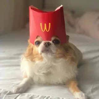 😊