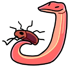 🐍