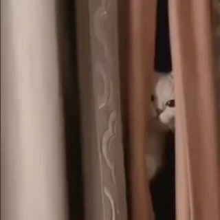 😒