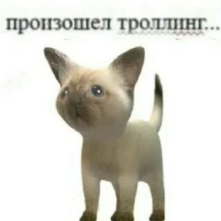 😭
