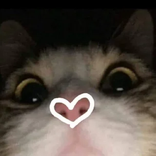❤️