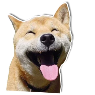 😜