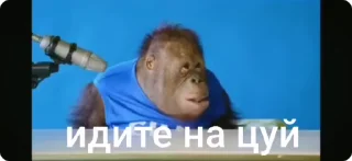 🌟