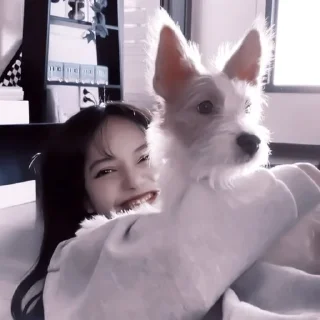 ☄️