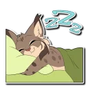 💤