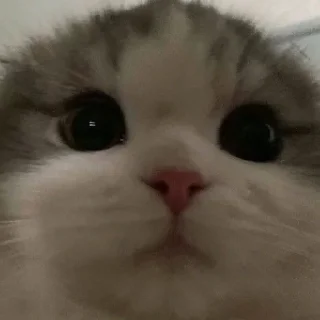 😶