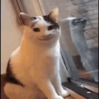 😃