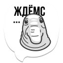 Memes @stickersb2b