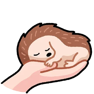 😴