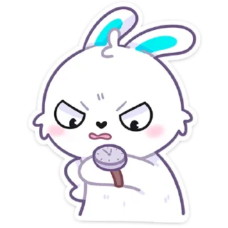 🐰