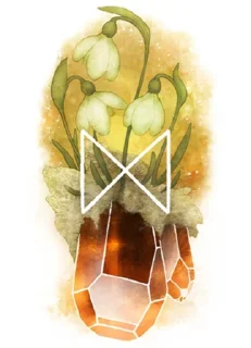 2️⃣