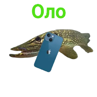 📲