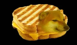 🥪