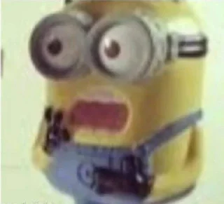 🙀
