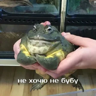 😡