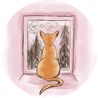 Cats in Circle @besensitive