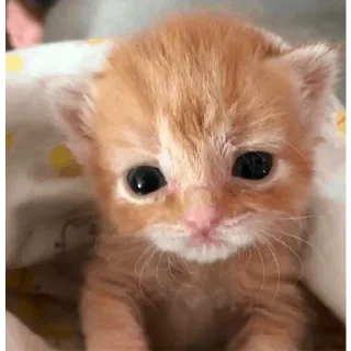 🤨