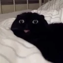 😂