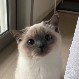 🧐