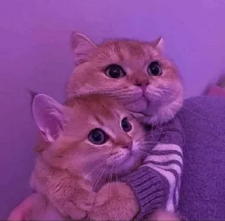 💗