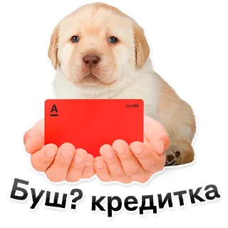 🐶