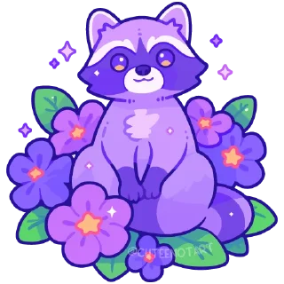 🦝