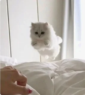 🏃‍♀