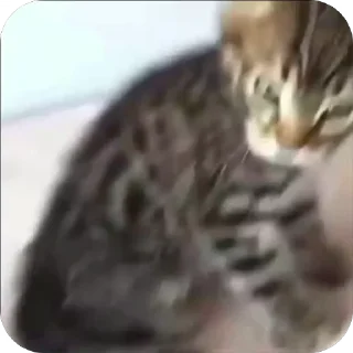 🤨