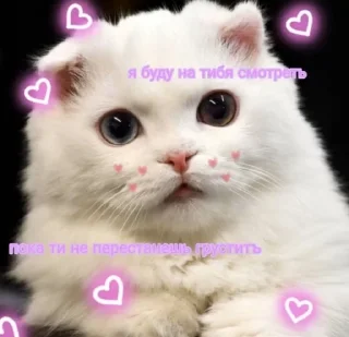 🥺