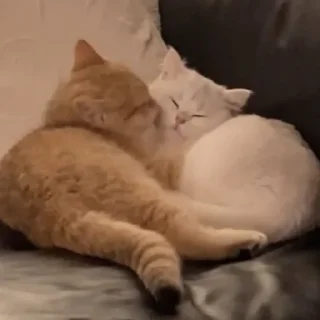 😚