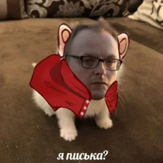 🐈