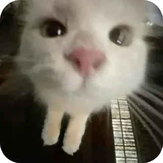 🥰